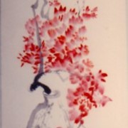 Ch-19-05-7605-bougainvillea_scroll-186-jpg_card