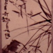 Ch-21-06-2413-orchid-scroll-173-jpg_card