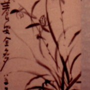 Ch-25-08-2413-orchid-scroll-175-jpg_card