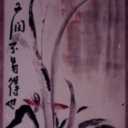 Ch-27-0-7088-orchid_scroll-183-jpg_card