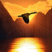 Sunrise_cove_card
