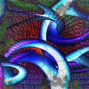 Organic_graffiti_card