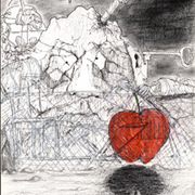The_apple_card