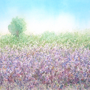 Lavender_field_card
