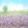 Lavender_field_thumb