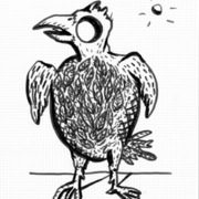 The_chicken_with_a_hole_for_an_eye_card