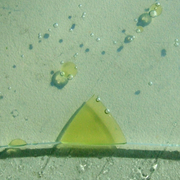 Paesaggio_con_triangolo_spontaneo_card