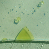 Paesaggio_con_triangolo_spontaneo_thumb