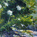 102_prvy_akryl_square