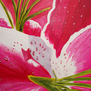 Stargazer-1_card
