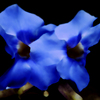 I_love_this__blue_thumb