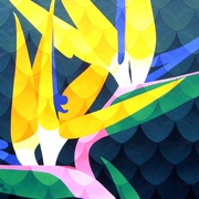 S6305726_card