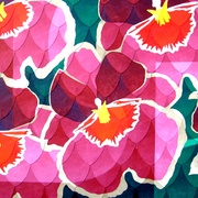 S6305724_card