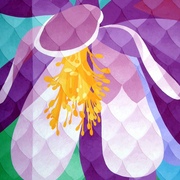 S6305722_card