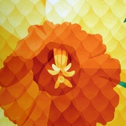 S6305720_card