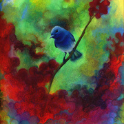 Bluebird_card