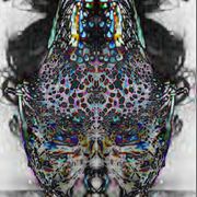 Naut_card