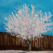 0847-springtime-bloom-400_card