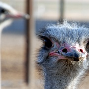Dsc_5238_card