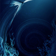 Underwater_11_card