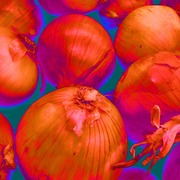 Onions_l_card