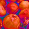 Onions_l_thumb