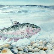 Trout_print_card