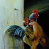 Chickens_thumb