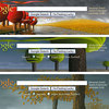 Igthemes_thumb
