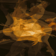 Desequilibrio_card