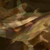 Voluntad-2_thumb
