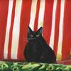 Dahab_cat_thumb