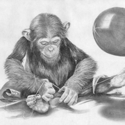 Monkey_unclehalf_card