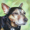 Pet_portrait_big_thumb