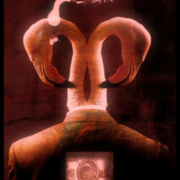 Abalone_interior_card