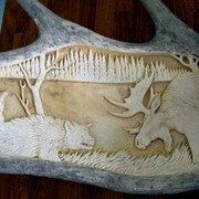 Moose_horn_card