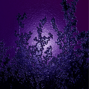 Plasticizea_card