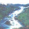 Oil-2_the_magnificent_fall_98_jpg__thumb