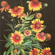 Best_photo_of_perennials_mixed_painting_2008_card