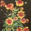 Best_photo_of_perennials_mixed_painting_2008_thumb