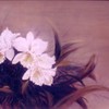 Oil-10-cattleya-1998_thumb