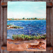 Beach-sentinel_card