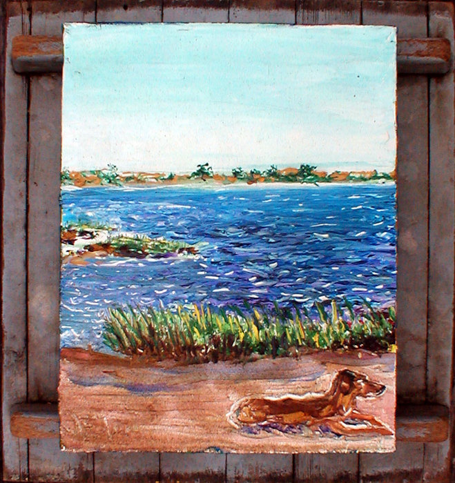 Beach-sentinel_card