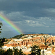 Zion-159web_card