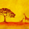 Three_giraffes_thumb