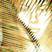 Frondlady_card
