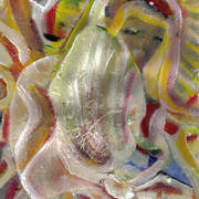 Woody0508_29_card