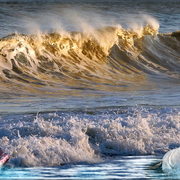 926-high_surf_drama_card