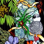 African_grey_card