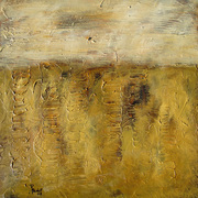 Gold_field_08_24x24x1